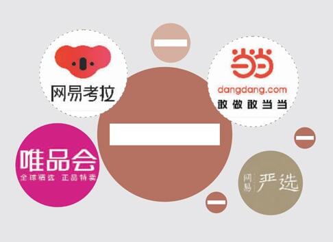 垂直型電商網(wǎng)站有哪些？