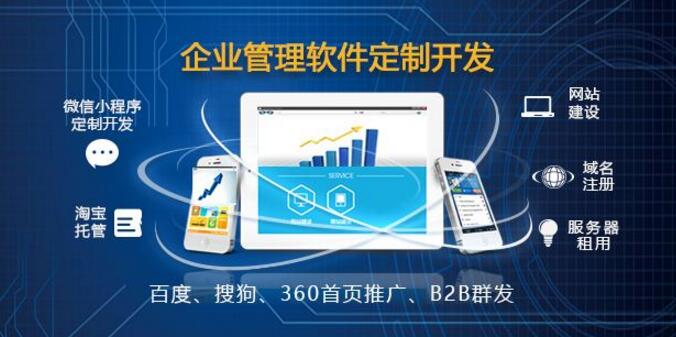 企業(yè)管理軟件開發(fā)
